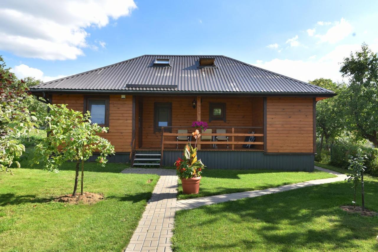 Vasarnamis Zarasuose Villa Zarasai Exterior photo