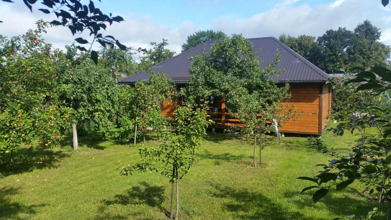 Vasarnamis Zarasuose Villa Zarasai Exterior photo
